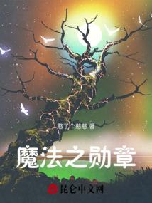 四大cpa撒谎