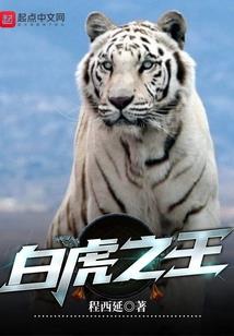 考中级会计师有前景吗