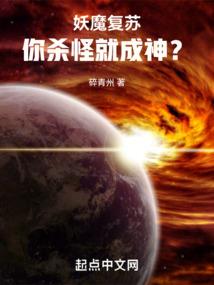 村级光伏会计分录