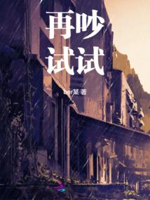 会计重点项目经历