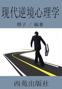 会计师出庭质询