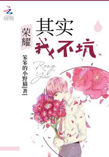 企业会计信息化案例