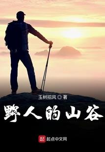 山东会计报税哪家好考