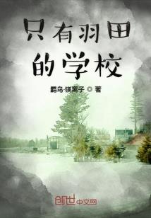云南企大师财税