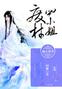 总会计师调研文章