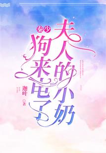 初级会计经济法题型题