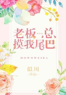 高端财税logo设计