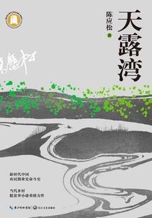 深圳初级会计审核代办
