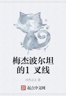 沧州恒星财税