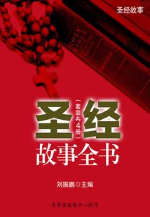 财政项目资金监管