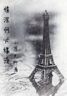 金中会计师