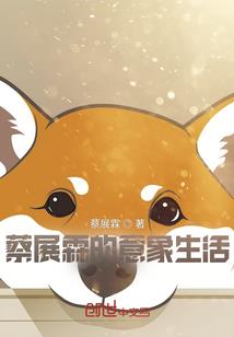 巴中经开区财政管理