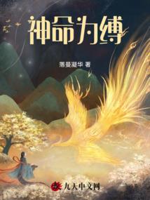 中级会计师免费培训
