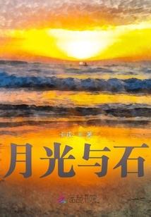 电算化会计专业技能考试