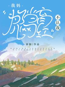 迈高财税公司