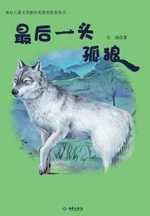 跨国会计师收入排名