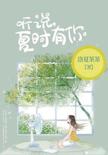 会计分录投资公司