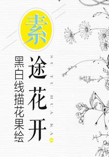 定南圆规财税