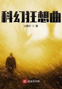国内注册会计师