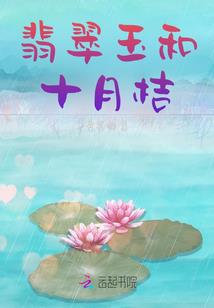 财税都有什么课程