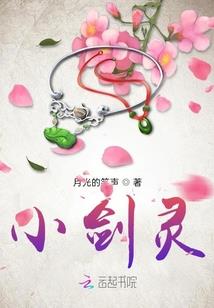 对阿网初级会计教材