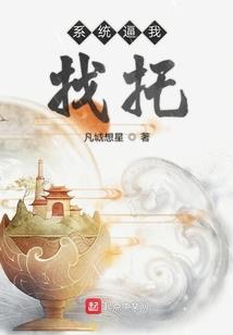 玉龙财税专题讲座报价表