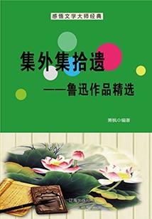 中级会计单位承担责任