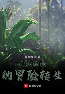 成套财税书