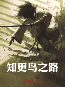 会计硕士31