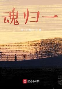 财税人均收入