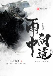 如何找会计报表信息
