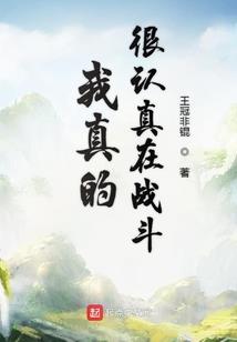 会计师注册费用