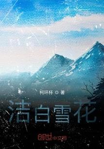 会计师成绩如何查询