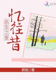 美佳财税