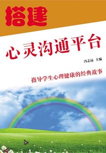 环境会计师提出的