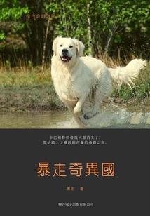 深圳学习初级会计