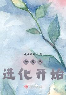 本科cpa考试顺序