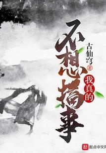 中级会计职称合伙公司