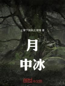 网课视频自学初级会计