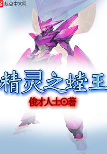 中级会计师需要会计从业