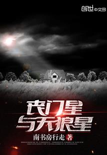 药监财政专项审计案例