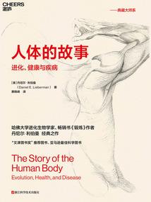 东奥斜拉桥