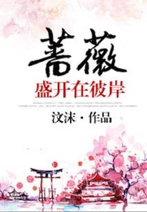 有CPA证书能干啥