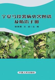预算会计的考试重点