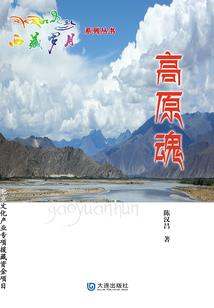 在校生考cpa