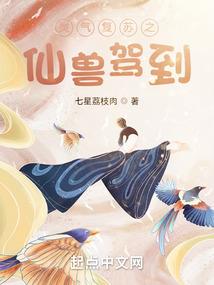 浙江初级会计证条件