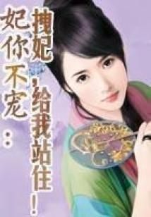 安盾财税