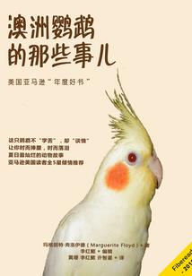 如何最快考会计师证