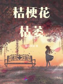 村会计归谁任职