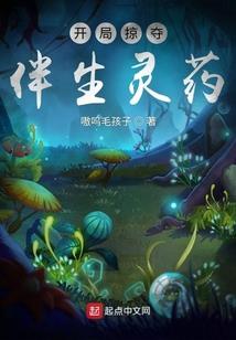 CPA考场必备